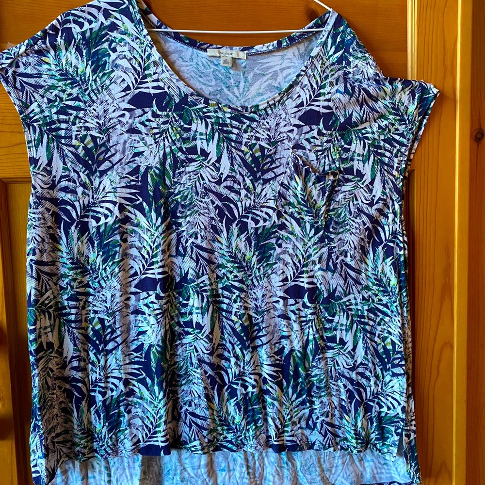 Sejour from t-shirt from Nordstrom. 3X